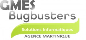 BUGBUSTERS_MTQ_Logo_540